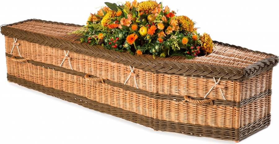 English Willow Traditional Coffin with Brown Bands